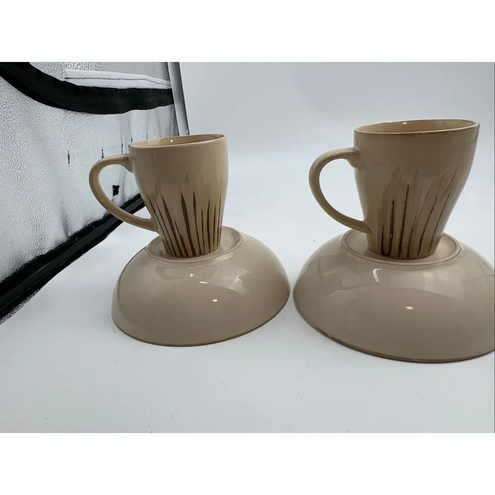 Pier 1 Sanctuary Stoneware Latte Mug & Soup/Pasta Bowl Set of 2 Place Settings